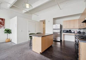 Vista Studio, Free Parking, Kitchen, Workspace, Great Location