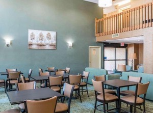 Comfort Inn Grove | Pine Grove