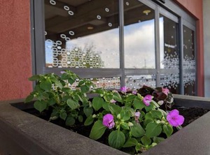 Hampton Inn Suites Centre | West Chester