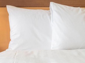 Holiday Inn Express Hotel Dubois Ihg | Adrian Furnace