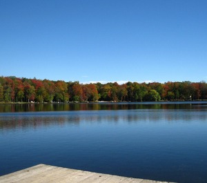 Lakefront 
