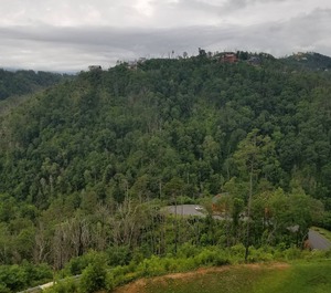 Smokey Mountain 