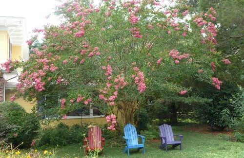 Kilmarnock Bed & Breakfast | 21 m² Bed and breakfast ∙ 2 guests