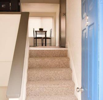 Pittsburgh Apartment | 28 m² Apartment ∙ 1 bedroom ∙ 3 guests