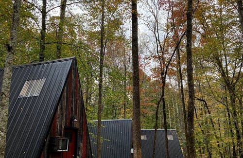 Stanton Cabin | Cabin ∙ 1 bedroom ∙ 2 guests