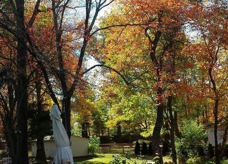 Lawrenceville Resort | Private room ∙ 2 guests