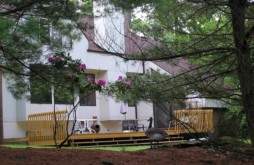 Gibsonia Resort | Private room ∙ 2 guests