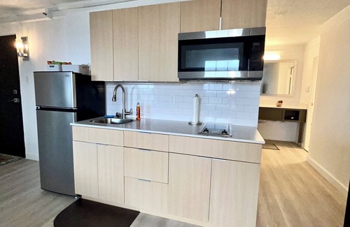 Downtown Baltimore Apartment | Sweet Landing, WiFi, fitness room in Baltimore 1650/Month