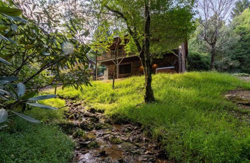 Seven Devils House | The Nut House