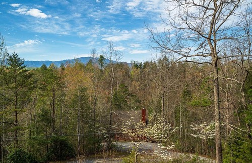 Pittman Center House | Trail Head Cabin Short Walk to Lake