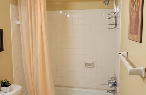 South Hills Condo | 1 BR, 1 Bath, End Unit Condo - Fully Furnished