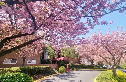Elkins Park Apartment | 102 m² Apartment ∙ 2 bedrooms ∙ 4 guests