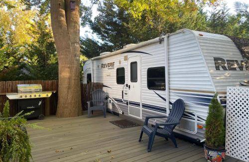 Bear Bed & Breakfast | 11 m² Bed and breakfast ∙ 5 guests