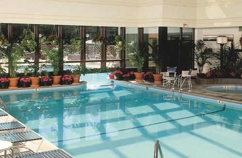Park Ridge Hotel | 31 m² Hotel ∙ 127 guests
