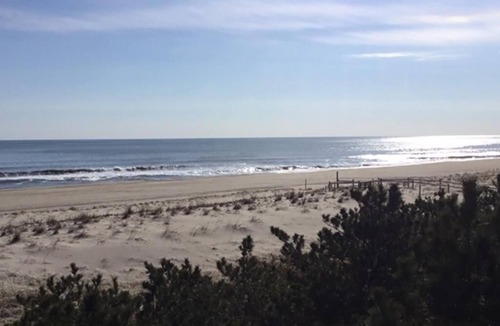 Beach Haven House | 4 bedroom accommodation in Harvey Cedars