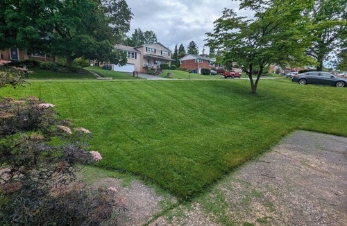 East York House | 4-bedroom house in welcoming East York with WiFi, AC