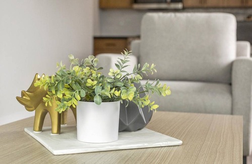 Kensington Apartment | 59 m² Apartment ∙ 1 bedroom ∙ 2 guests