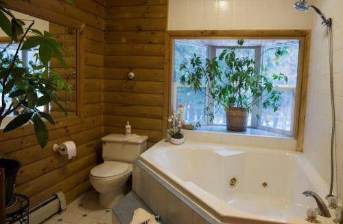 Spencer Bed & Breakfast | 65 m² Bed and breakfast ∙ 4 guests