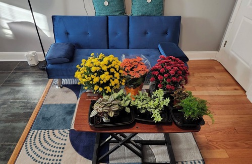 Highlandtown Apartment | A New Studio Bedroom Office Suite with a Den Free WiFi & AC Beautiful Baltimore