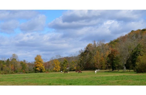 Ooltewah House | A3–Airstream 3 at Hidden Hills Farm & Saddle Club