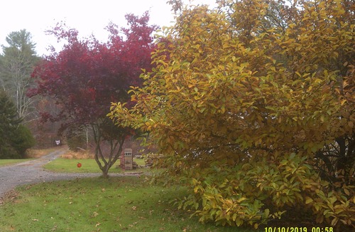 Wapwallopen RV Rental | ALL INCLUSIVE - GLAM CABIN, CAMPER, TENT CAMPING - SLEEPS 20 - BOOK NOW ~