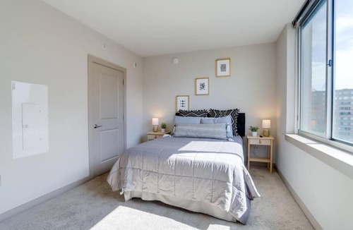 Crystal City Apartment | Amazing 2BR Apartment at Crystal City