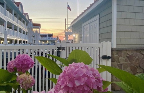 Avalon Condo | Avalon fun & sun with pool, beach block and the best beach side bars