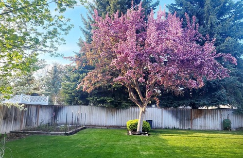 Idaho Falls House | Beautifully Updated Home on Oak Trail Drive in IFn