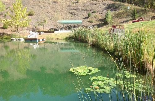 Cumberland RV Rental | BIG D's POND & North Branch of the Potomac river Camping.