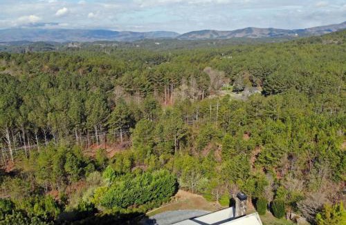 Ducktown House | Brew with a View Lodge