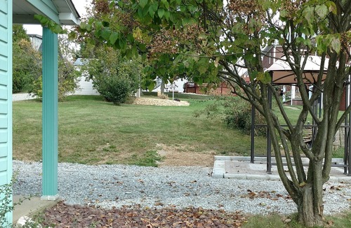 Youngwood House | Bungalow With Luxury Appointments, Great Price! Pet Friendly w/fee