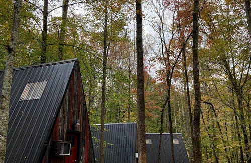 Stanton Cabin | Cabin ∙ 1 bedroom ∙ 2 guests