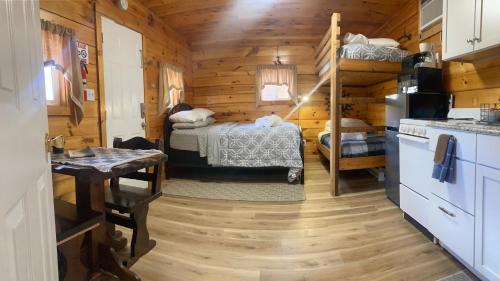 Stanton House | Campfire Cabin, Red River Gorge, KY, River Access & Views