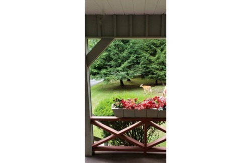 Barryville House | Catskills Woodland Escape: River, Festivals & More