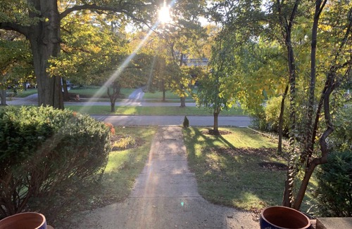 Cleveland House | Charming Historic Retreat Fenced Yard