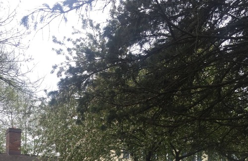 Pittsford House | Charming house nears shops, cafes, hiking/biking trails.