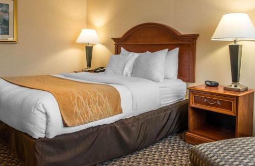 O'Hara Township Hotel | Comfort Inn & Suites Pittsburgh Fox Chapel