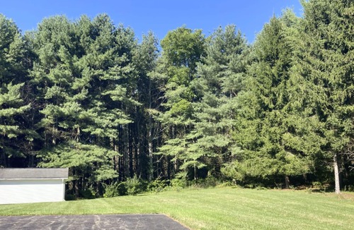 Pulaski House | Cozy Colonial on 20 Acres