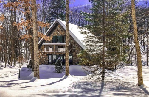 Alpine Lake Cabin | Cozy Family-Friendly Forested Cabin Inside Alpine Lake Resort