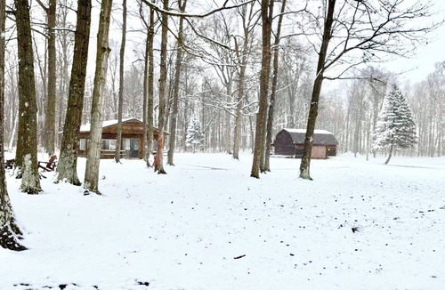 Dola Cabin | Cozy log cabin with pond nestled within 10 wooded acres. Accommodates up to 12!