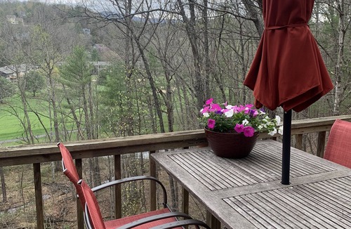 Basye Cabin | Cozy, Luxury Cabin, in the Heart of Bryce Resort on Bryce Mountain