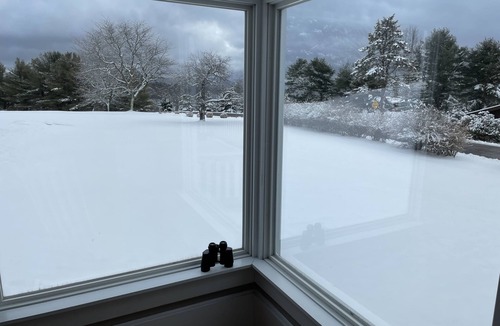 Eagles Mere House | Cozy updated house with gorgeous view near Eagles Mere Lake