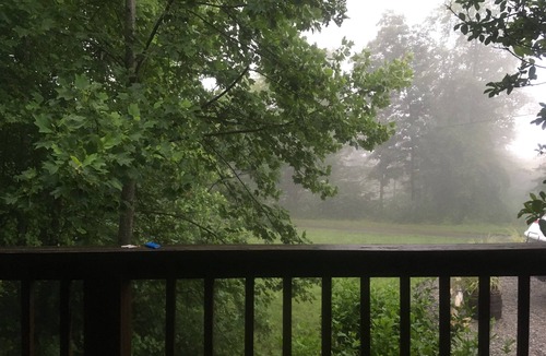 Byrdstown House | Dale Hollow Lake Paradise - Family Friendly, Pet Friendly, Party Ready!
