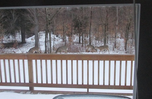 Morris Run Cabin | Das Good Cabin Quiet Family Ranch Style Cabin Near Pa Grand Canyon/Hunting