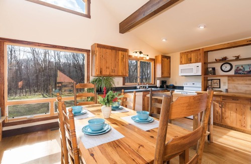 Rileyville Cabin | Enjoy Secluded Starry Nights! Near Luray, HotTub, FastWiFi, Handicap, Fireplace