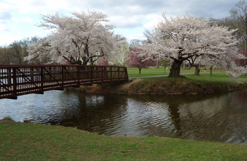 Carteret House | Experience All Of What Carteret Has To Offer! 2 Restful Units, Free Parking!