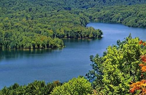 Shenandoah Apartment | Extended Stay ✫ Geisinger ✫ Danville ✫ St Lukes