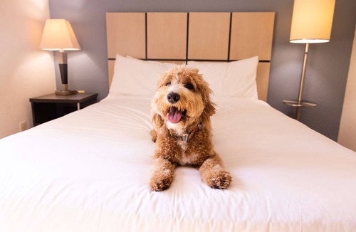 Morris Plains Hotel | Family-friendly Stay in Morris Plains! Pets Allowed Here! Kitchen Available!
