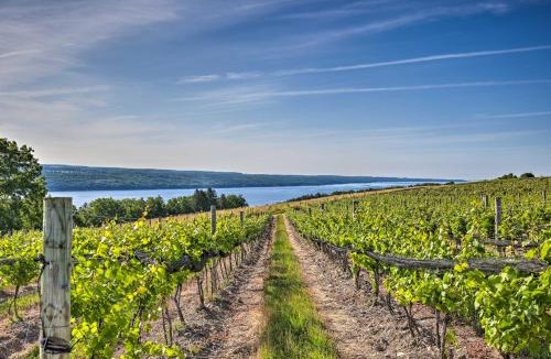Hector House | Finger Lakes Farm Retreat Walk to Wineries!