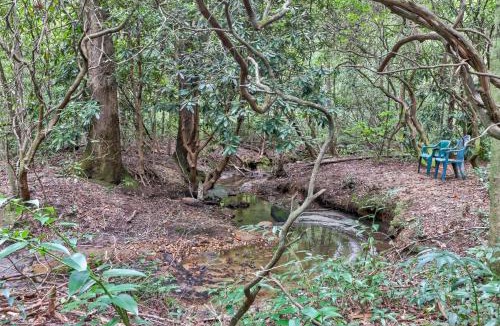 Sautee Nacoochee House | Four Cubs in the Creek
